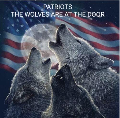 450B7583-C25E-495A-B4B8-41D52191D8AE