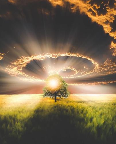 F5CB7CBF-7691-4D4F-8D87-B3738CE3FE90