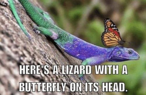 8D65622A-68B1-4234-BCF9-EF344E5CB9CF