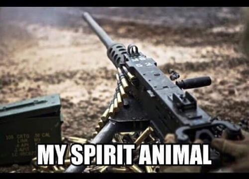 spiritanimal