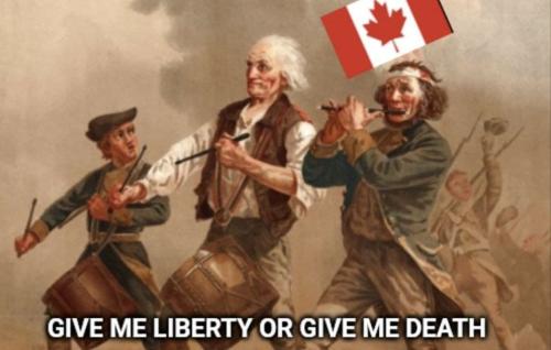 photo_2022-02-22_05-53-57