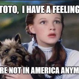 BcBsgdpJaheWzkub2b3jhYKG_small