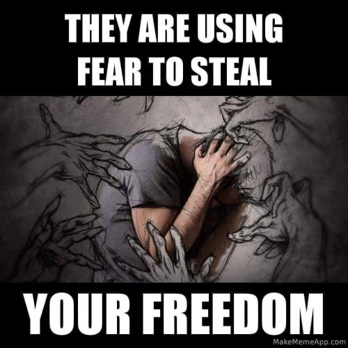 c30f90f6783bcbd02d4f906a4f8032bd