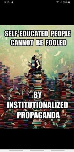 a2f1be51116ed2d0615723f9a8dabad7_500x0