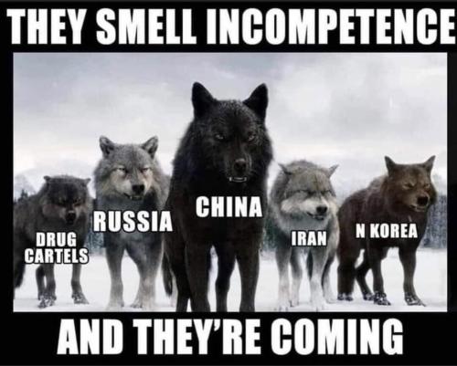 THEY SMELL INCOMPETENCE