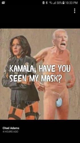 d3c3fe2e9026abba391703a8165b05c4_500x0