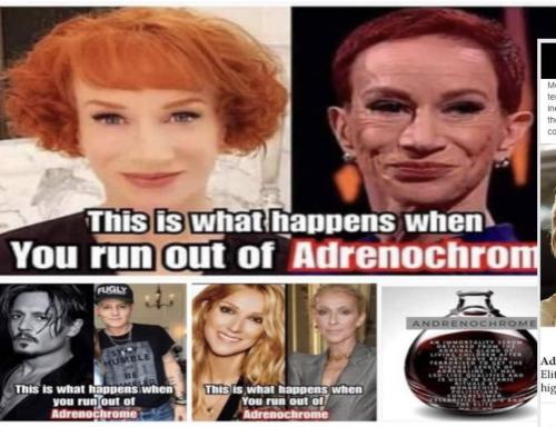 C96D30E6-845B-477D-85AD-6A4989AD1C53