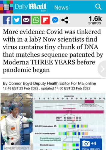 Screenshot_20220225-103718_Tumblr