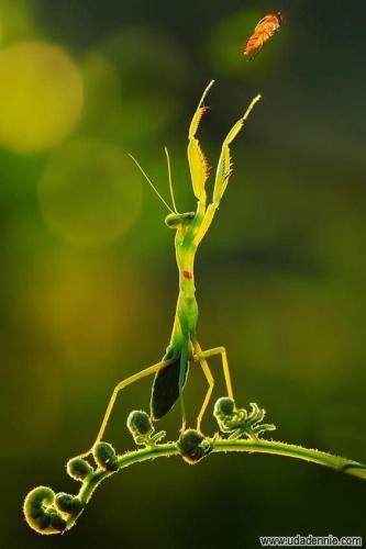 9C38F494-CC81-4AFB-96EA-F34A752E3376