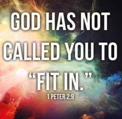 image_1643853641.425