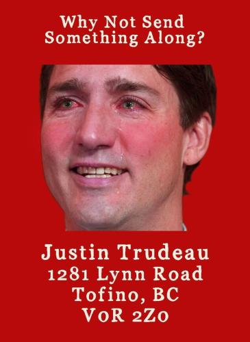 7a04b14378a75a103344f453011dea88_500x0