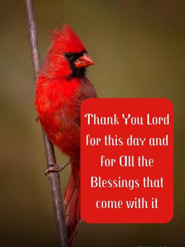 FB_IMG_1645758237185