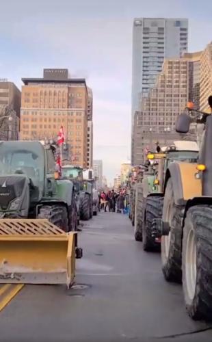 Canadian Farmer trukers seized Toronto