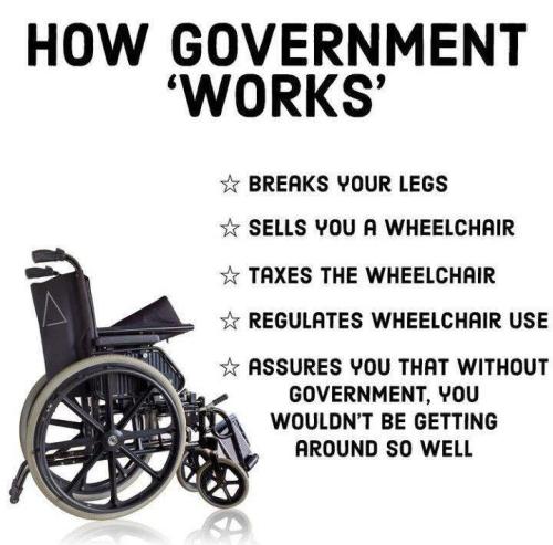 M Government