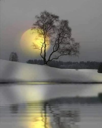 FB_IMG_1620491651665