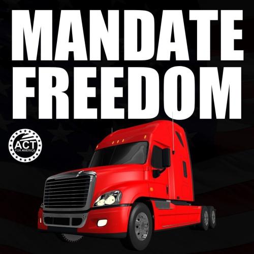 MandateFreedom