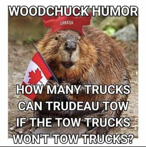 273770069_693735798450947_6710506998763015005_n