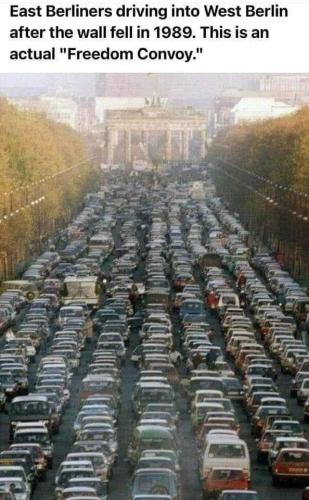 f32e0446-816a-452b-835c-23d40eab08ab