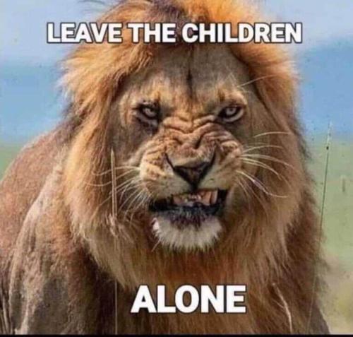 880325d903d5d8f919abd39f0959f810