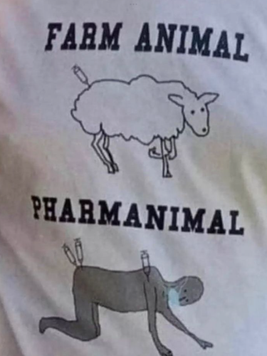 072F984F-1351-464B-9FB1-9526CC1AB180