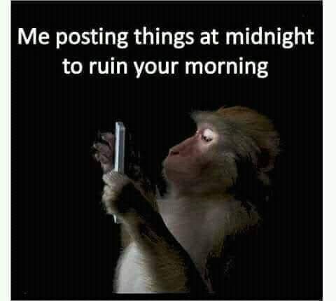 FB_IMG_1644679351446