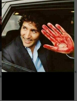 Screenshot 2022-02-19 4.11.01 PM