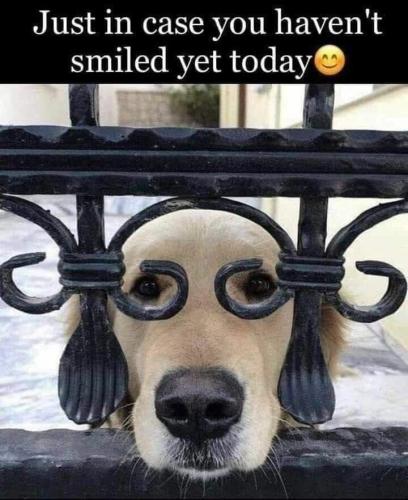 058f8b18-618a-4cbf-907c-dde57a2ab65ad