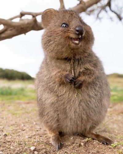 b8662986-7753-4f67-8b33-0e2015de45cc