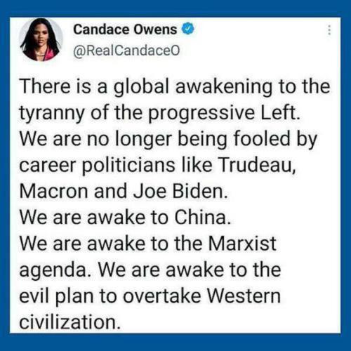 8c19151e2e0fb93356379206955ab8dd_500x0