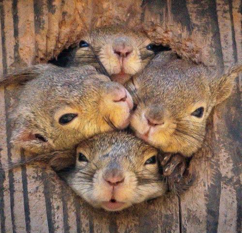 8AB0B845-B8A6-42B1-89EF-5B0A240F1F8B