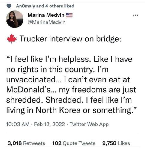 236ac991d7bde10225300e61747cf2ea_500x0