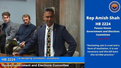 43942232-5ECC-471F-9855-2942EBBB9546