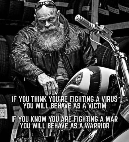 Tumblr_l_51147446033144