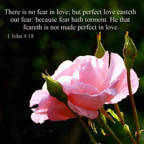 FB_IMG_1619182158141