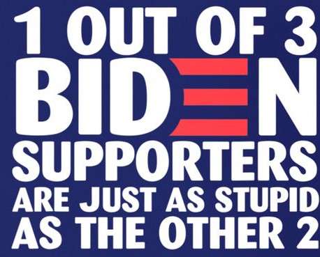 1oo2957012-1-out-of-3-biden-supporters-are-just-as-stupid--navy-msp-garment