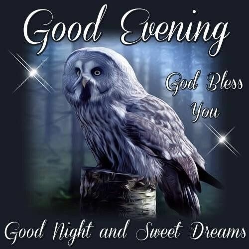 Good night God bless
