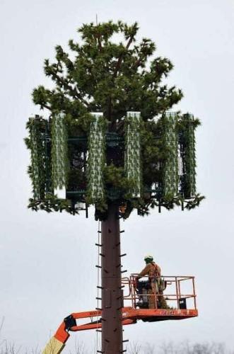 photo5809882904061392915