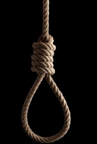 6f024a27dd4ae771f4f7a815b6962dc9_500x0