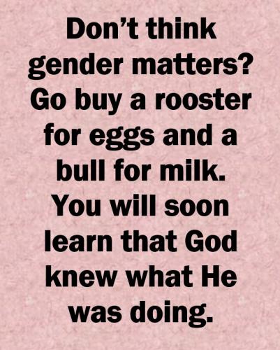 gender