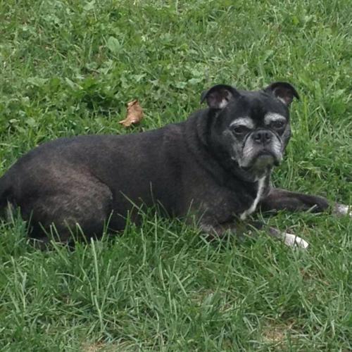 0DB30C82-4738-4814-AA96-1B30830C09D3