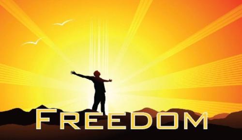 0bc88b0f88c7454758cac9498d01fabf_500x0