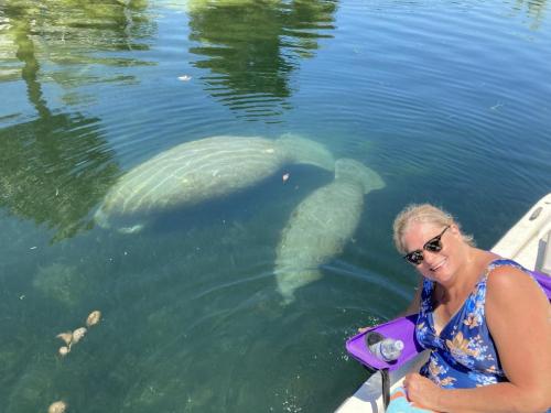 CA6AF19A-55A4-41E3-896C-E0830DB99237