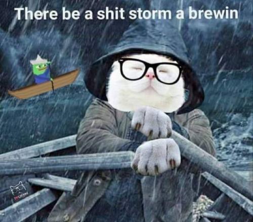 shit storm