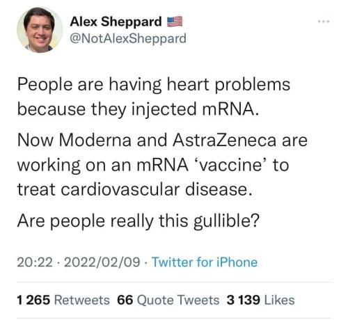 photo_2022-02-10_21-04-39