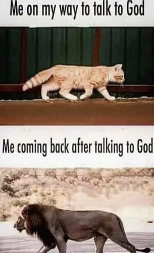 Talk with God