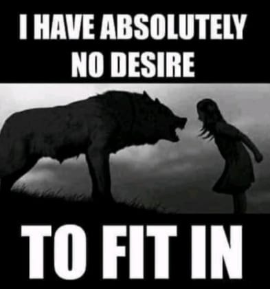 423c3bf2004893ece7888f37155b726d_1024