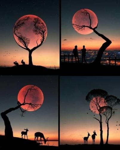 C5E0C045-BCCE-4C1B-814C-843B48BFFE2A