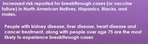 image_2022-02-07_113055