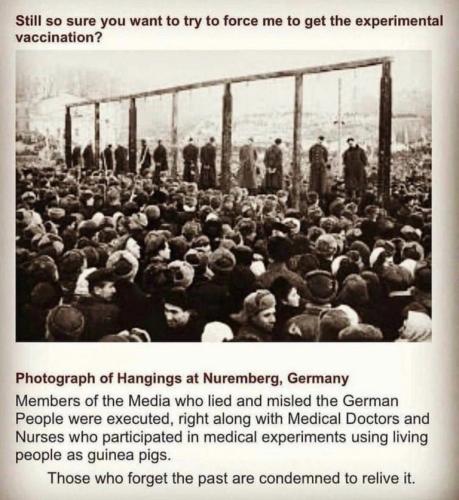 8c59226e7842a86c3425a9b6045b0ccb_500x0