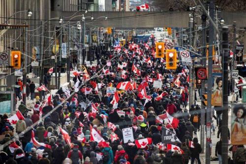 IMG_20220213_104443_748